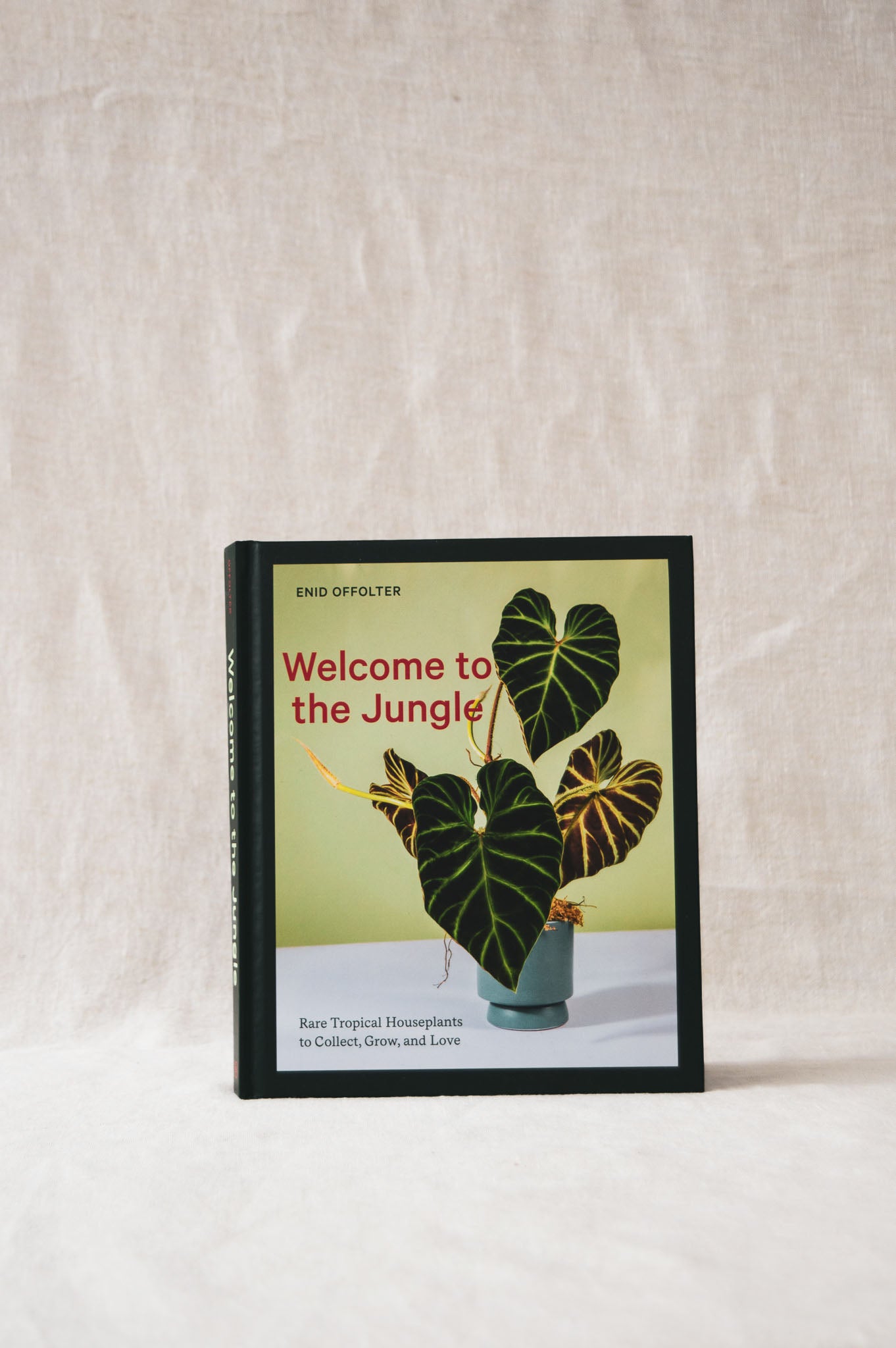 Welcome to the Jungle | Enid Offolter