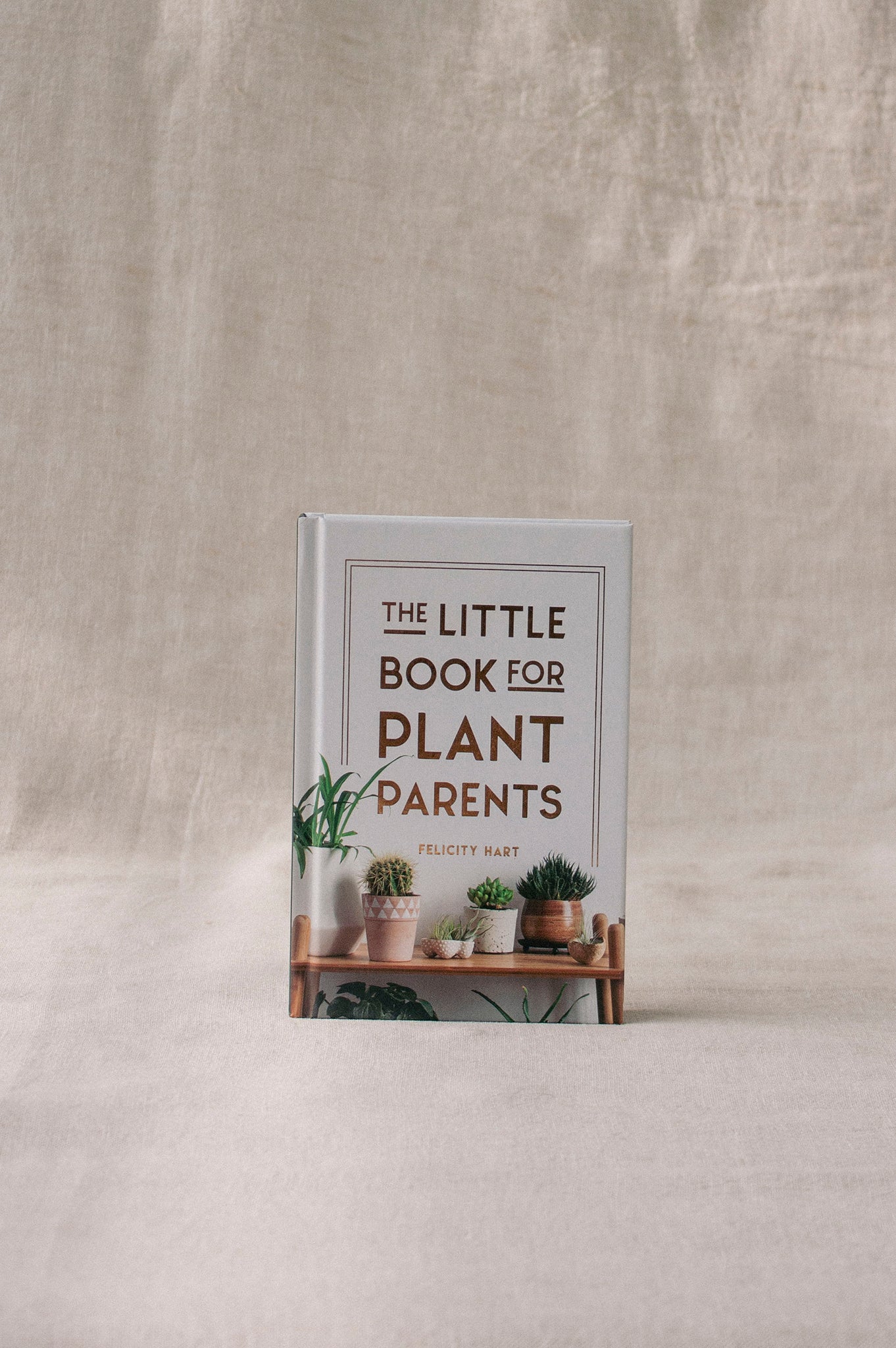 the little book of house plants The Little Book For Plant Parents | Felicity Hart