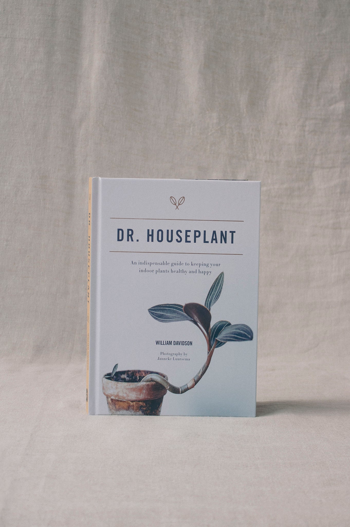 indoor plant care book Dr. Houseplant | William Davidson | Plant Books