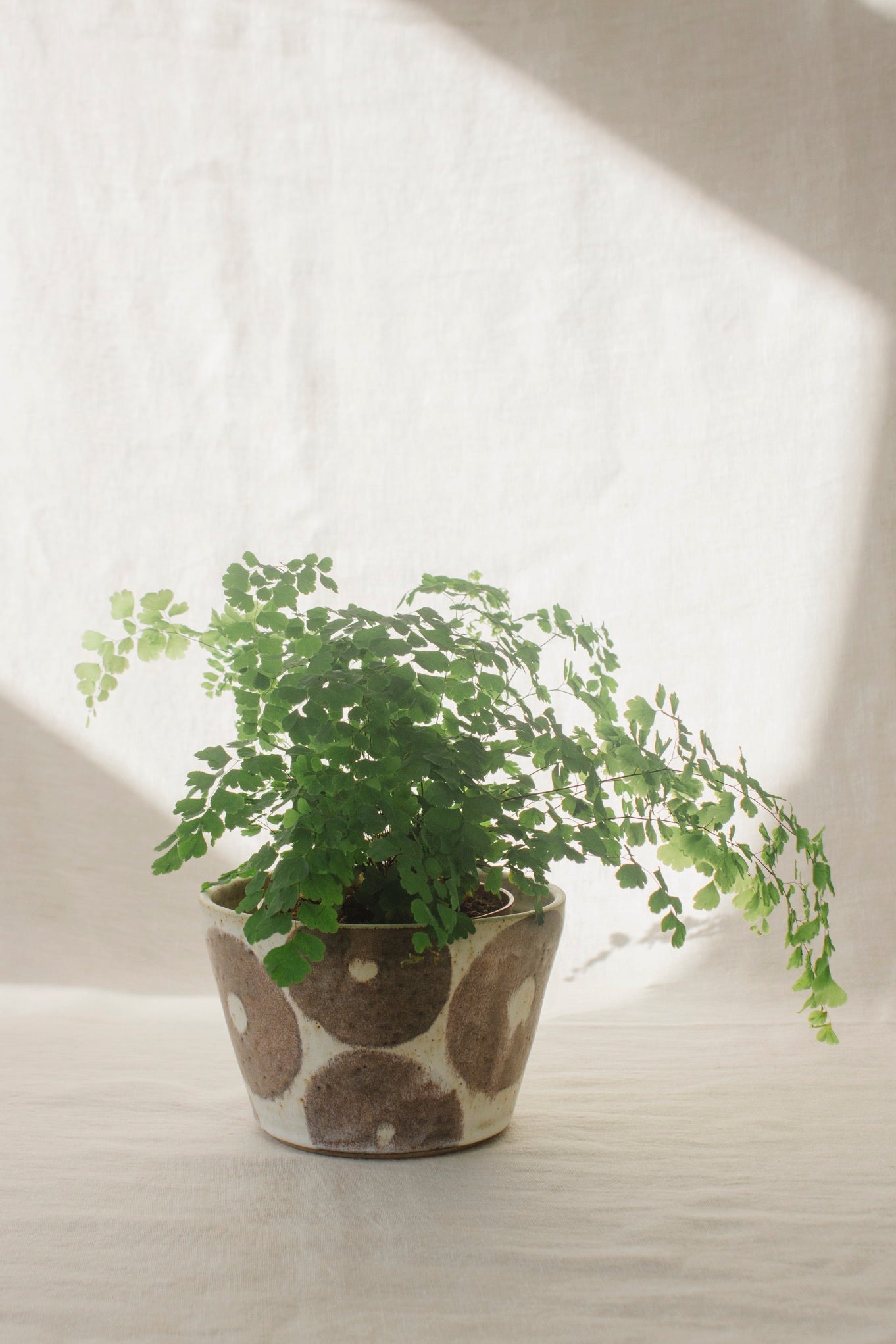 Wildwood Ceramic Studio Plant Pots | Black Glazes-Ceramic-Wildwood Ceramic Studio-Ondine Ash