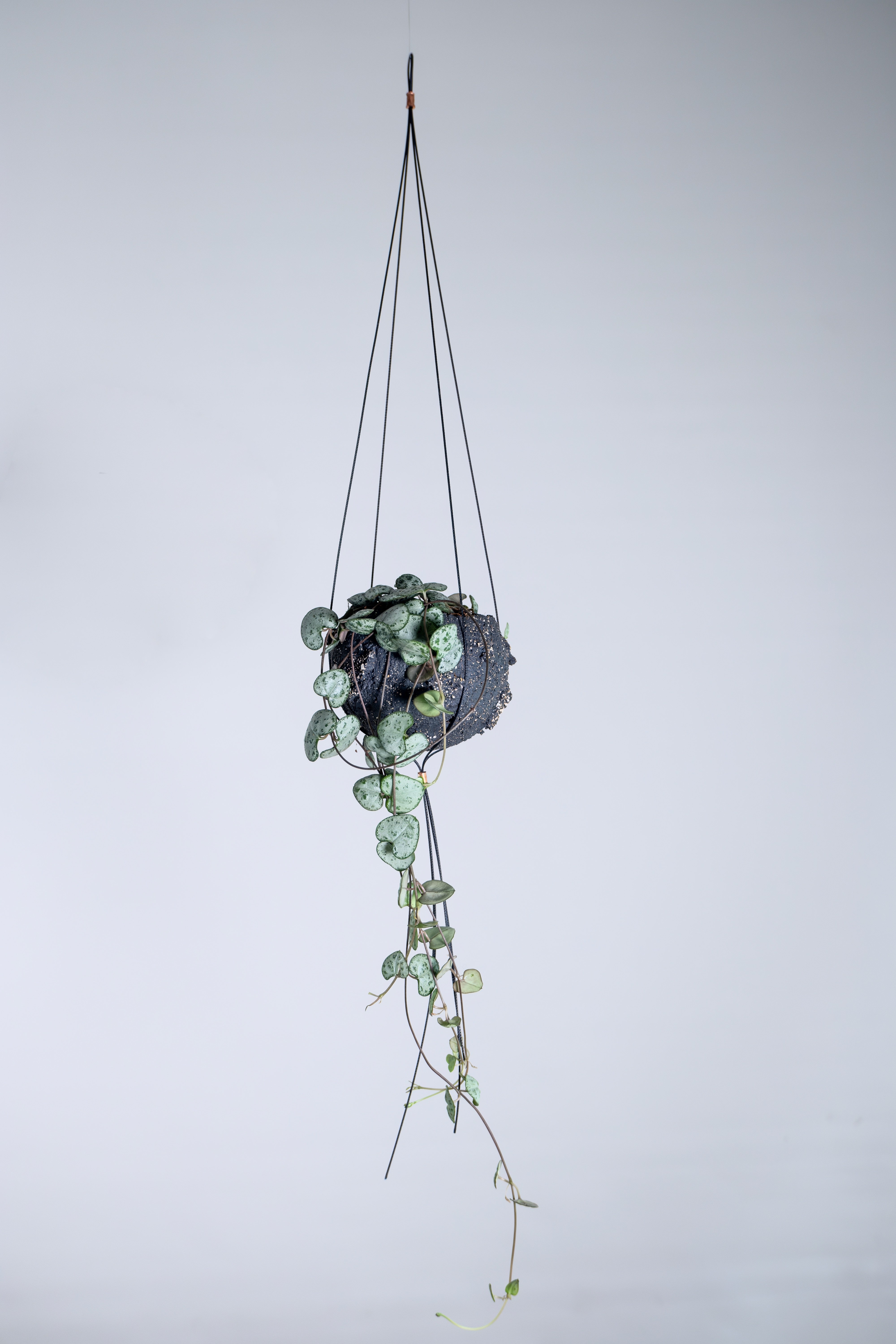 Wire Plant Pot Hanger | Bella