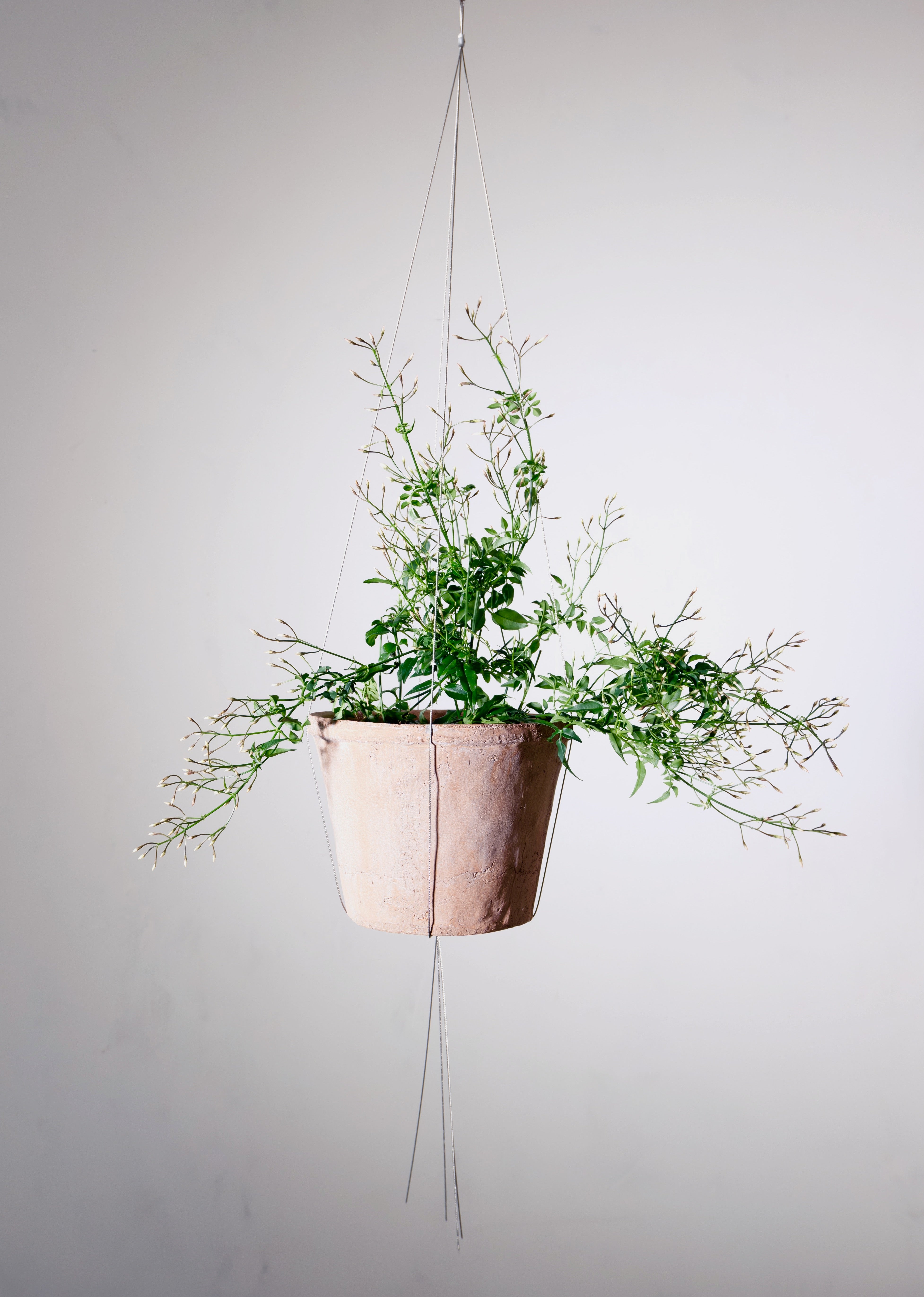 Wire Plant Pot Hanger | Bella