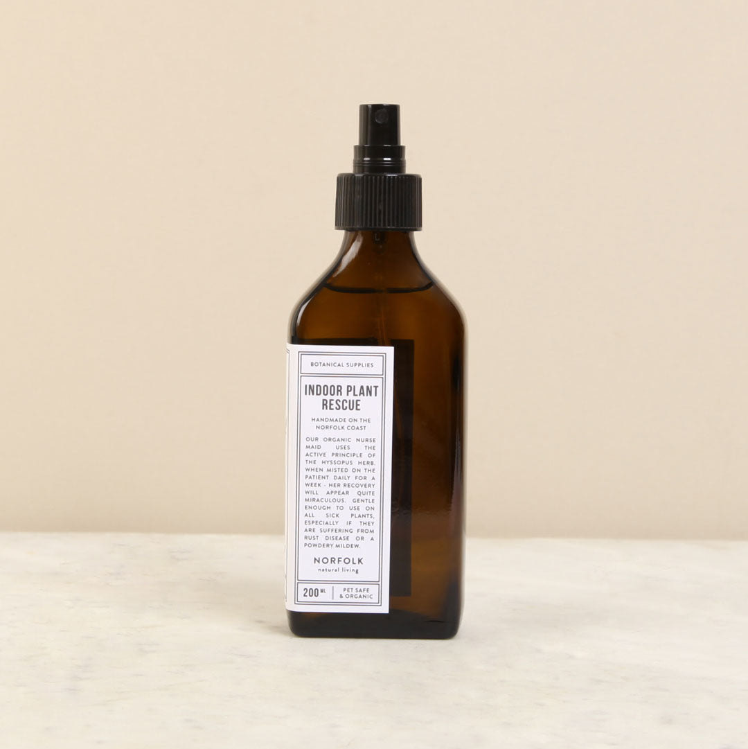 Spray bottle indoor plant rescue available at Ondine Ash, Falmouth