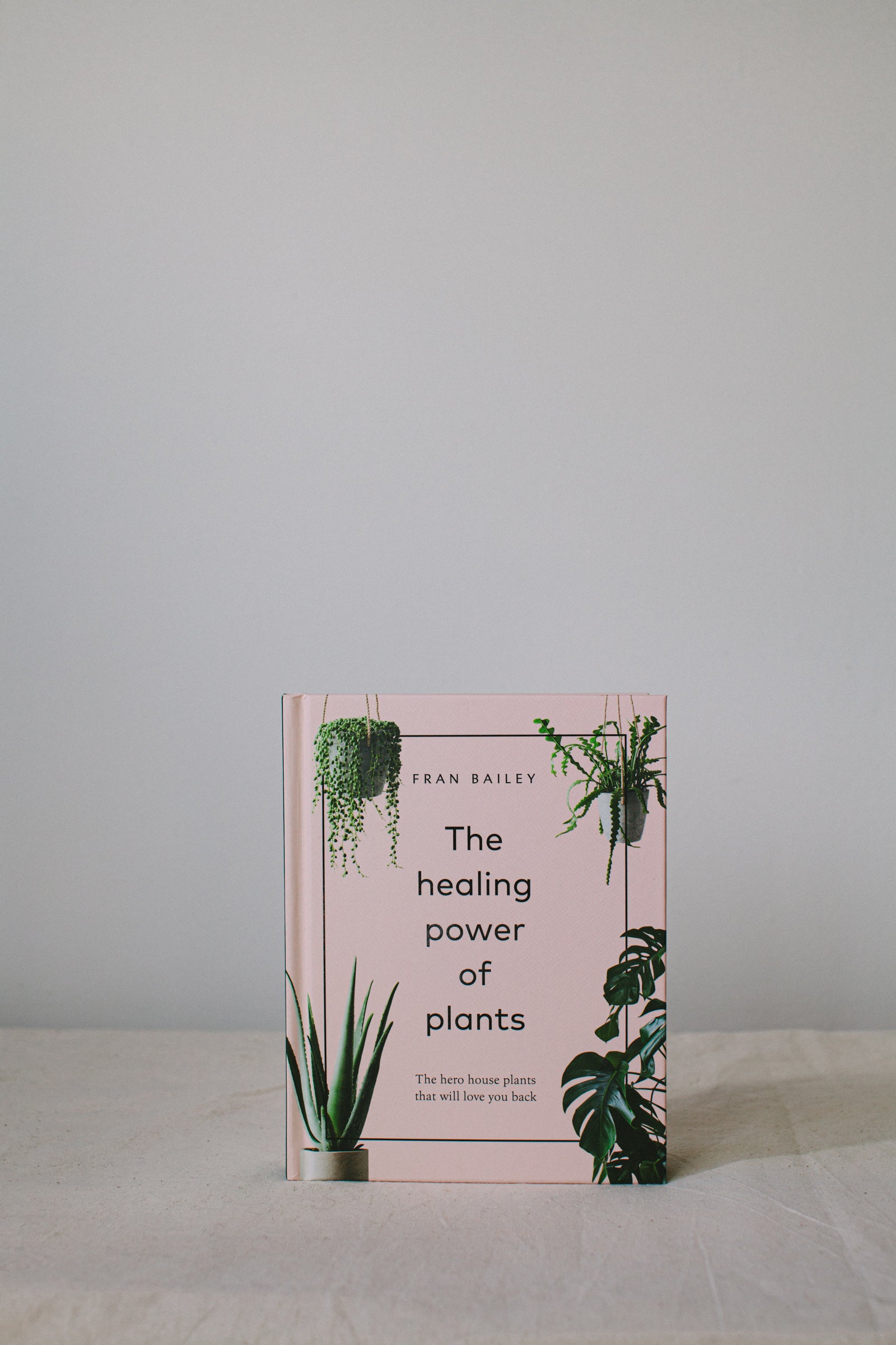 indoor plants with healing properties The Healing Power Of Plants