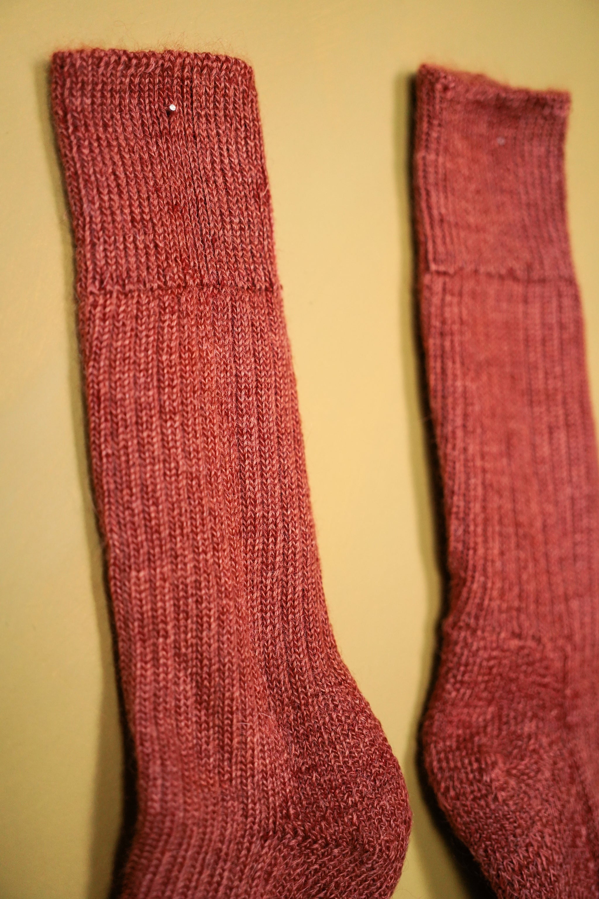 Oaken Trail Socks