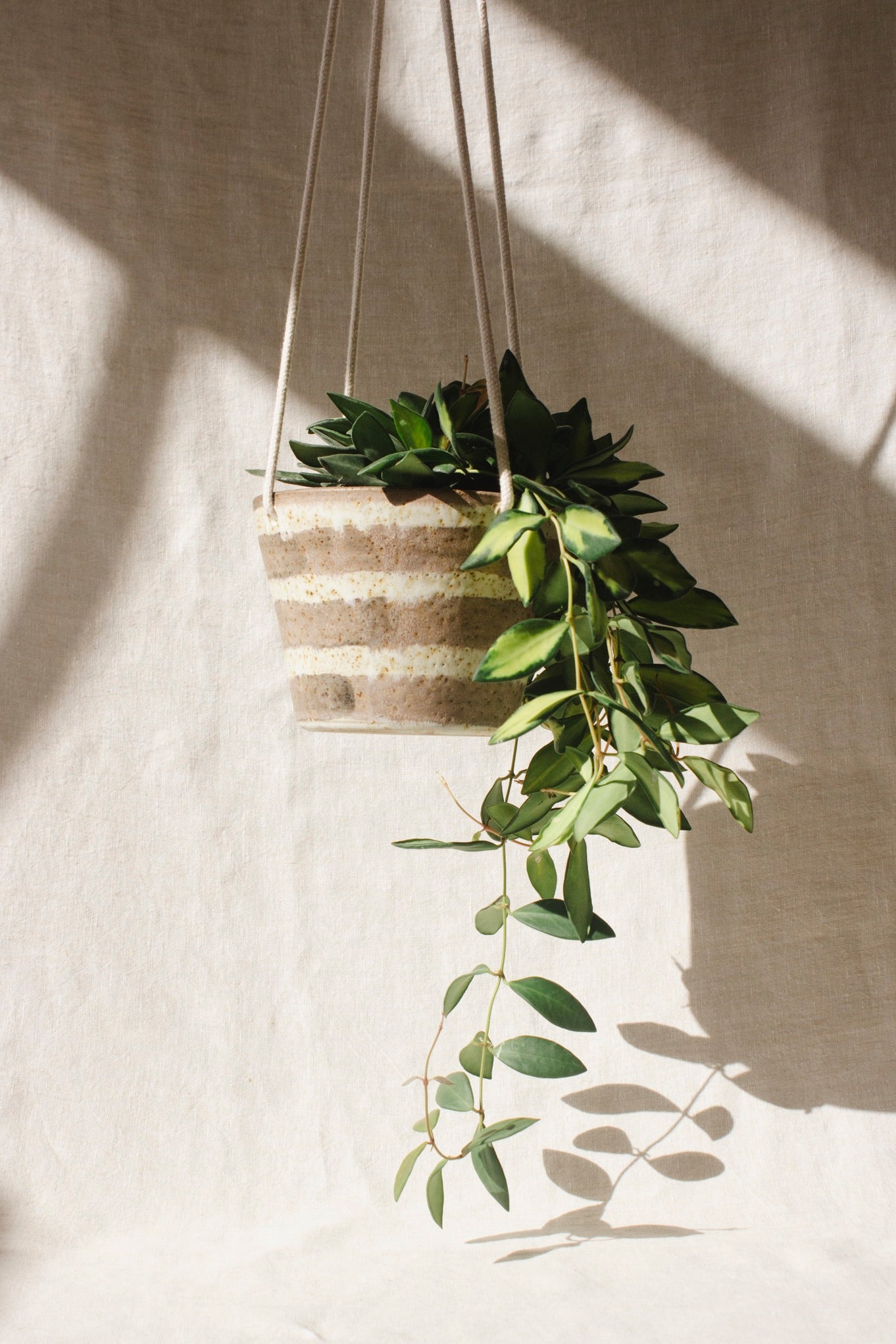 Wildwood Ceramic Studio Hanging Plant Pots | Four Glazes-Ceramic-Wildwood Ceramic Studio-Stripe-Ondine Ash