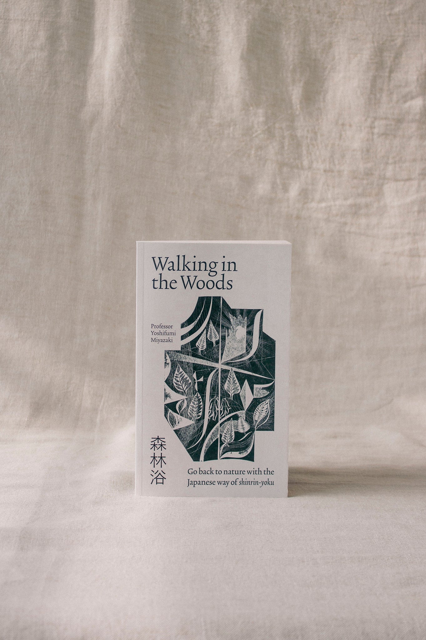 Walking in The Woods | Professor Yoshifumi Miyazaki