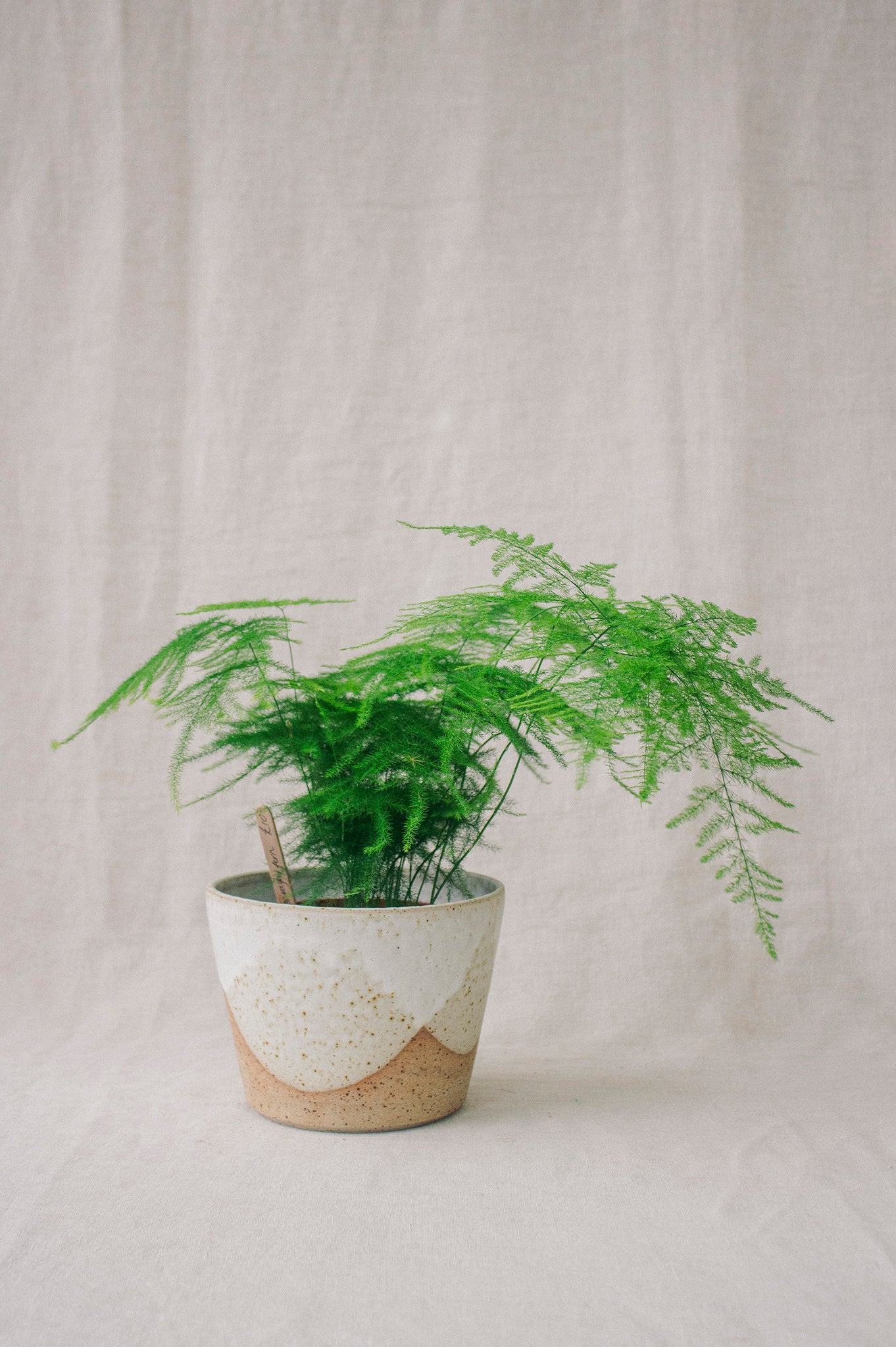 Severnside Plant Pot | White