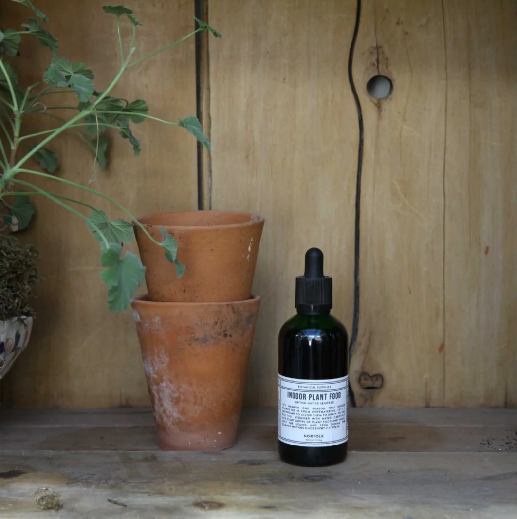 Styled outdoor shot with plant pots of plant food available from Ondine Ash, Falmouth