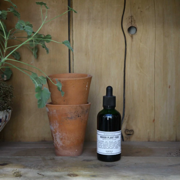 Styled outdoor shot with plant pots of plant food available from Ondine Ash, Falmouth