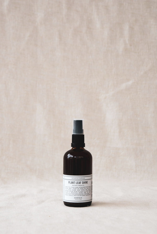 Product shot of plant leaf shine treatment available at Ondine Ash Falmouth