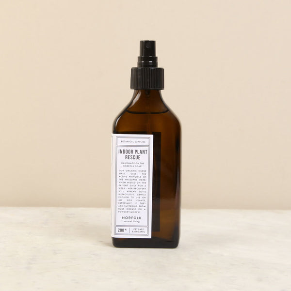 Spray bottle indoor plant rescue available at Ondine Ash, Falmouth