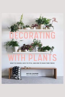 Decorating With Plants