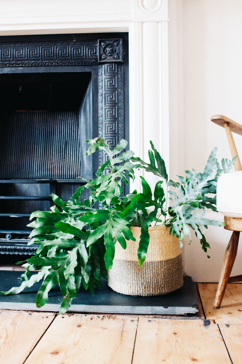 Sisal Basket | Colourblock Grey