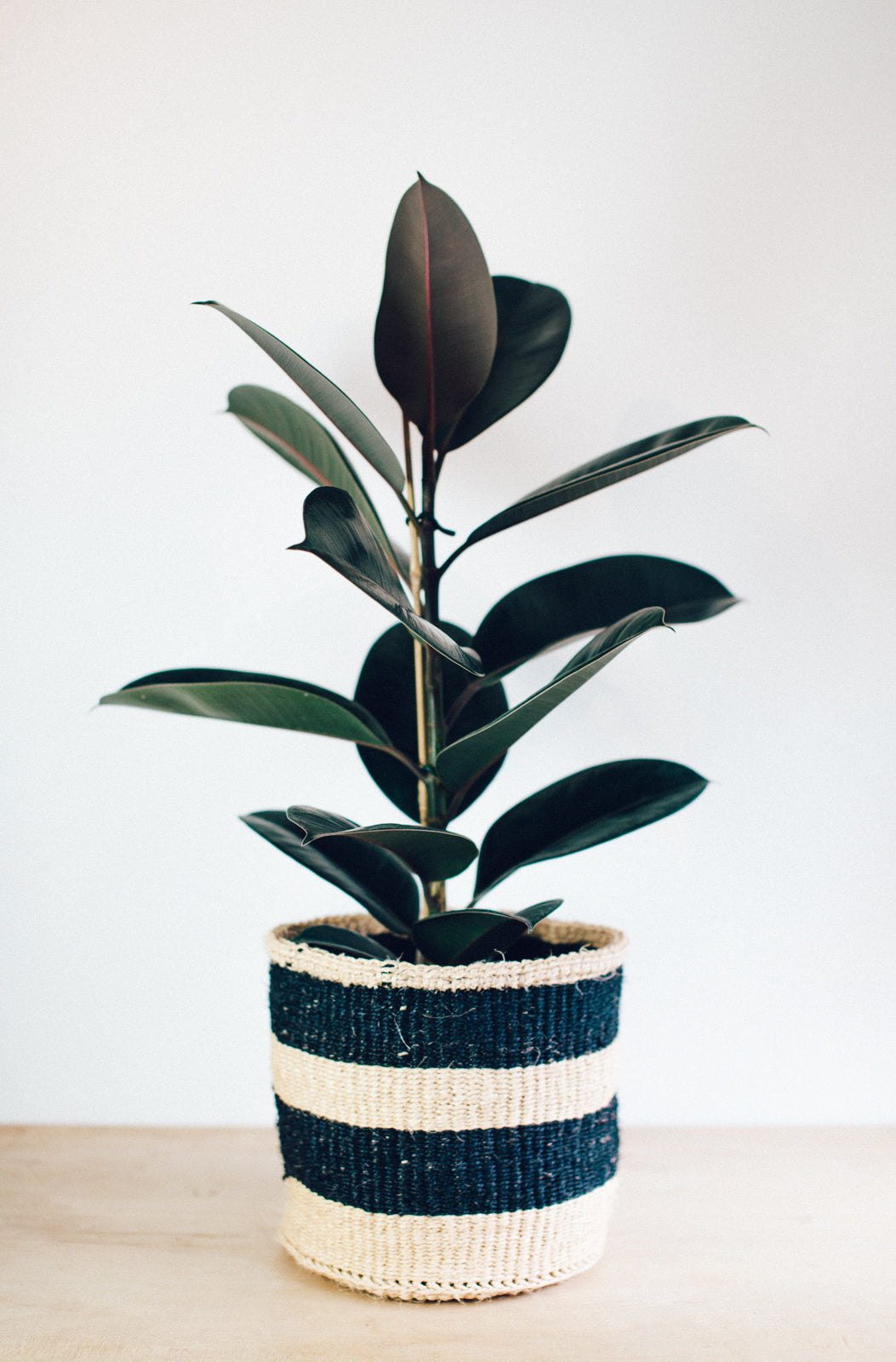 Linear Stripe Basket