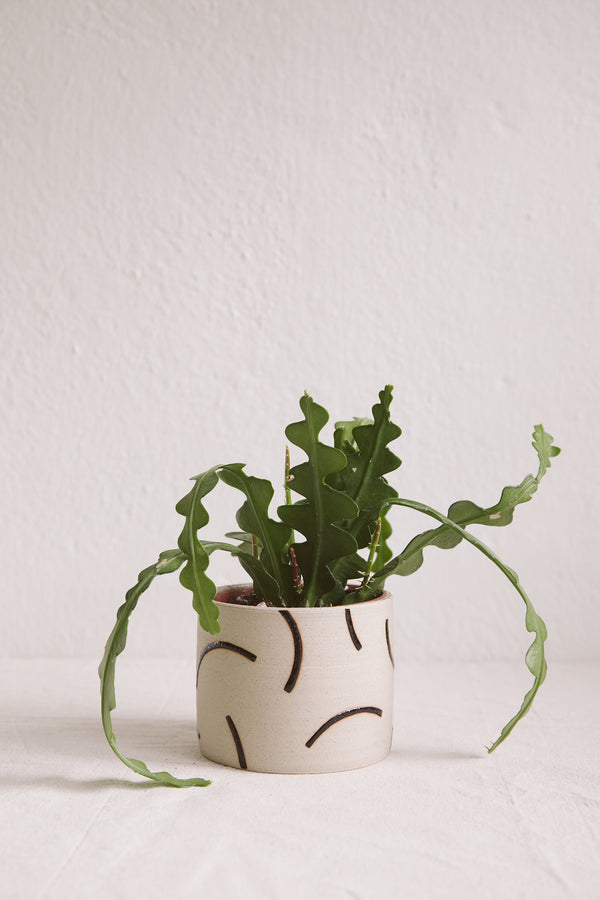 Hannah Bould Plant Pot