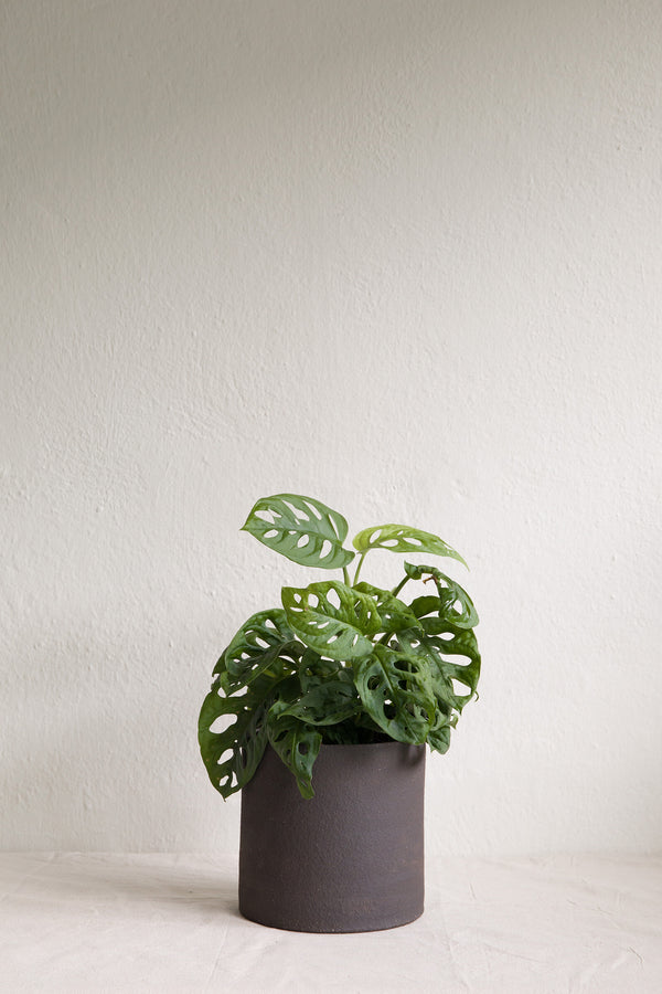 Coal Plant Pot