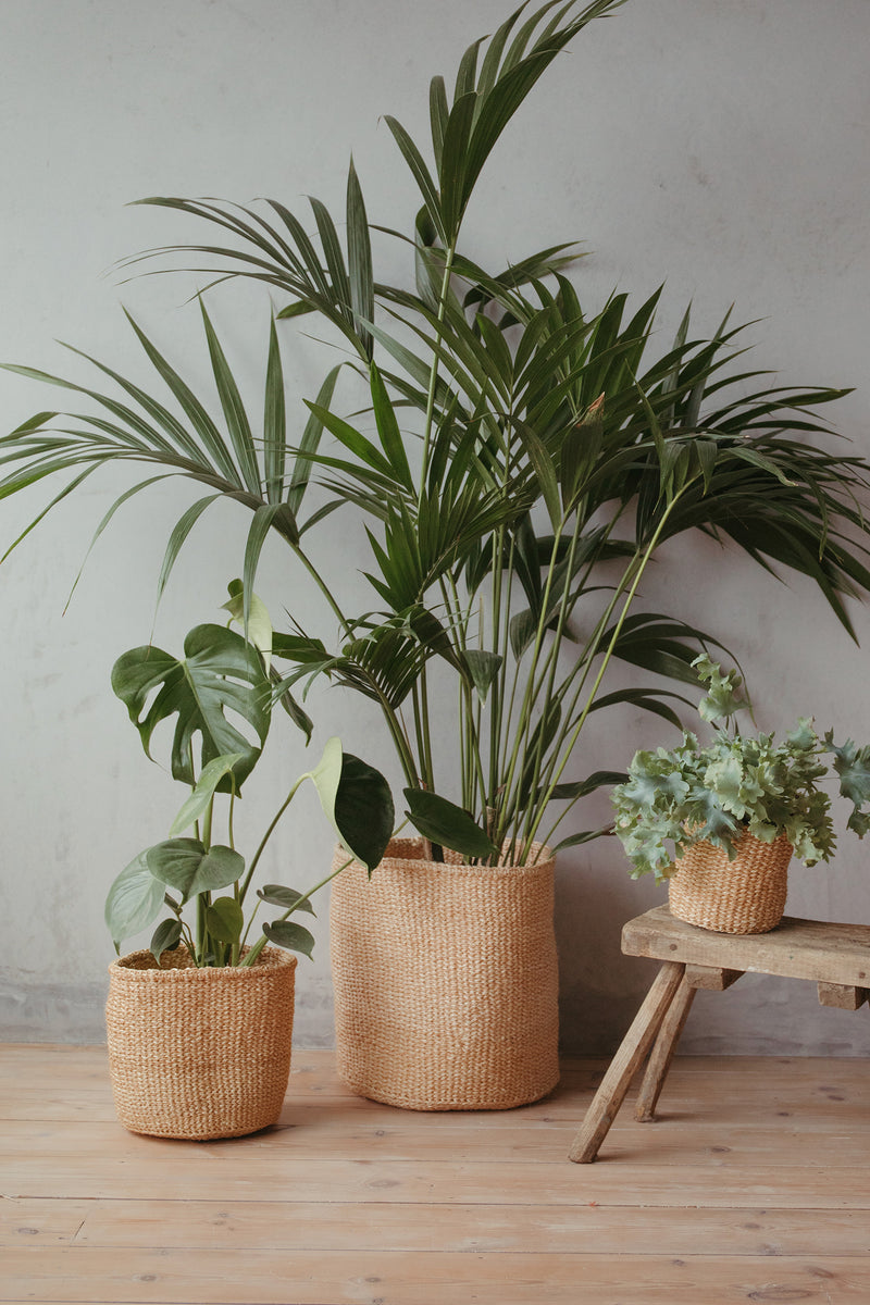 Sisal Basket | Natural Weave