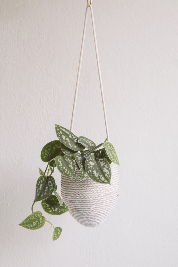 Hanging Basket Natural