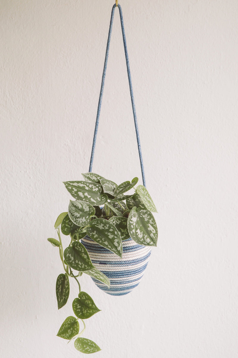 Hanging Basket Stripe Indigo
