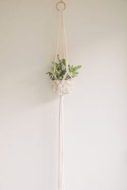 Macrame plant hanger