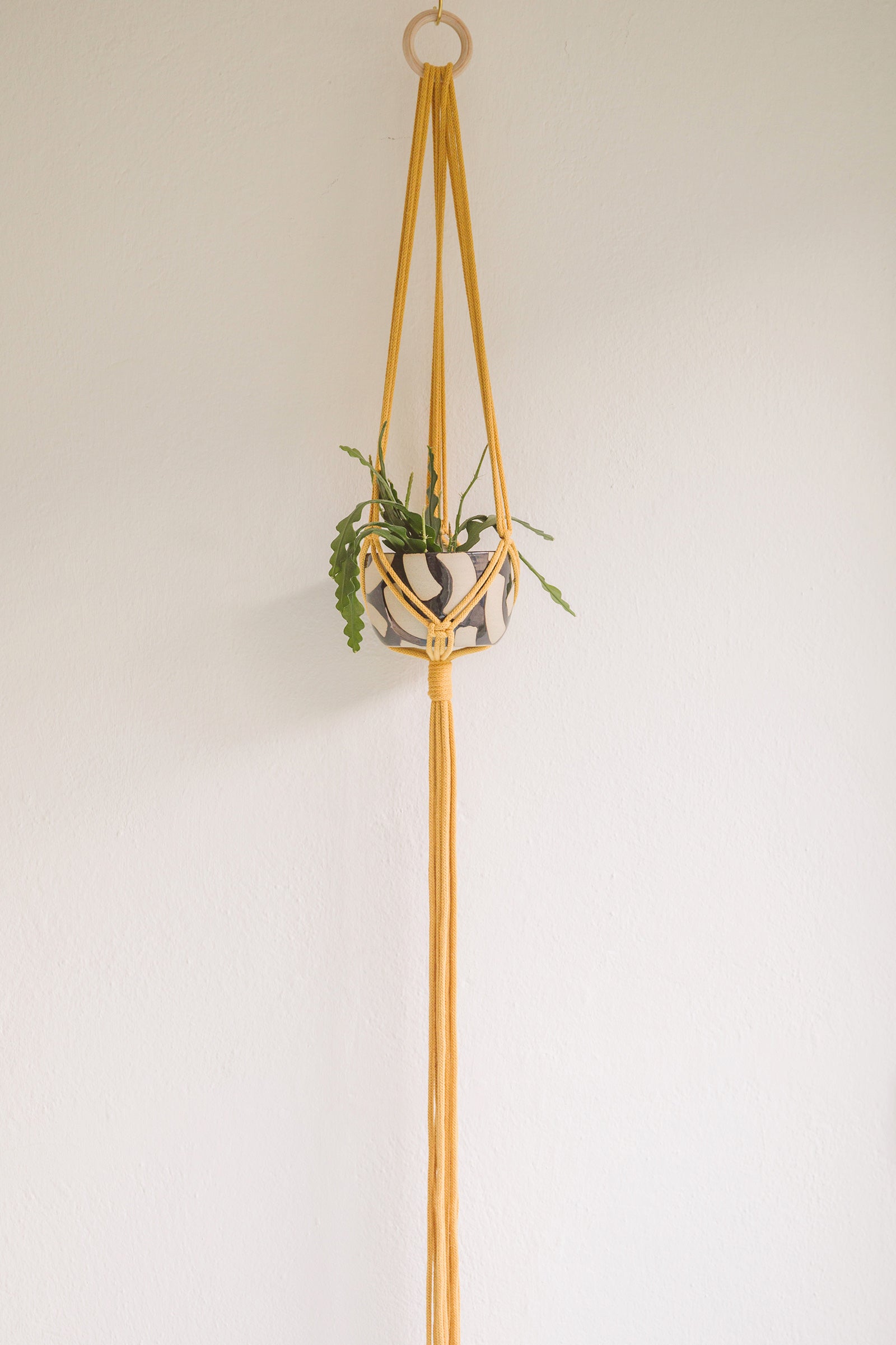 Macrame plant hanger-Hanging Basket-Ondine Ash-Ondine Ash