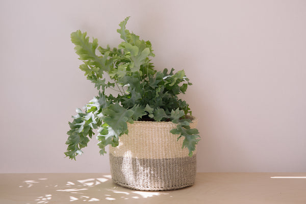 Sisal Basket | Colourblock Grey