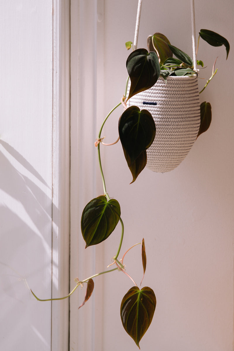 Hanging Basket Natural